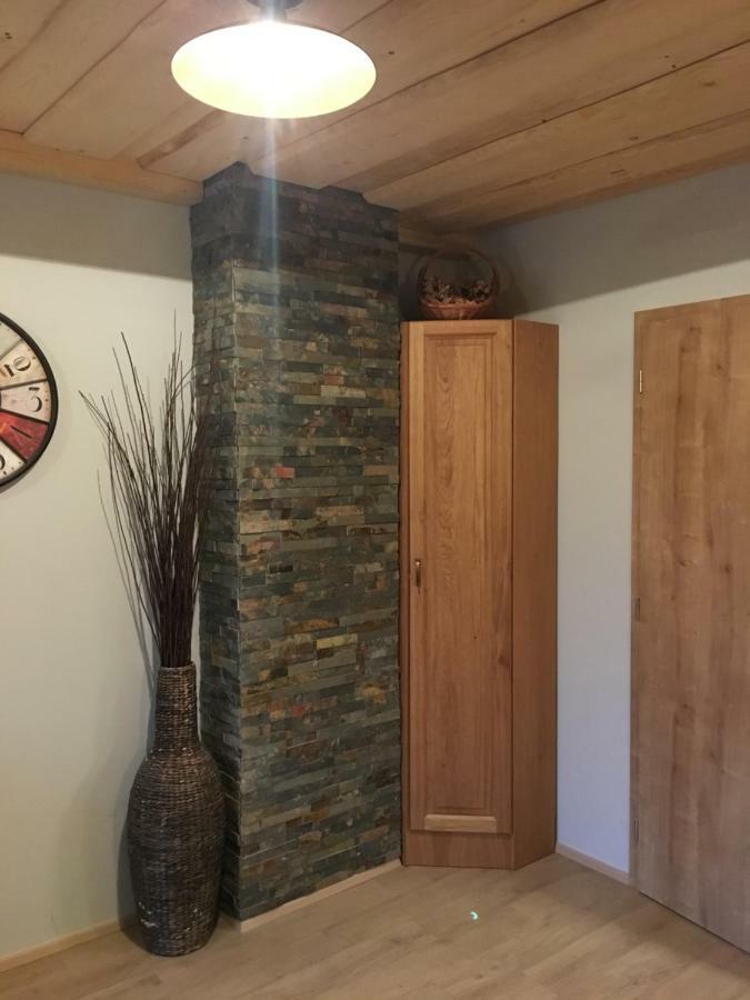 U Svahu Apartment Dolni Morava